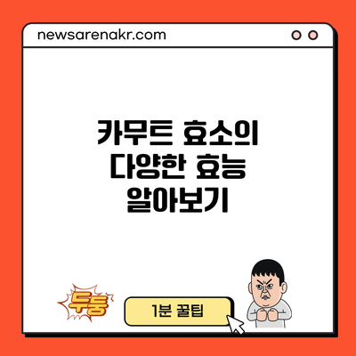 카무트 효소의 다양한 효능 알아보기