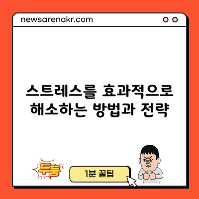 스트레스를 효과적으로 해소하는 방법과 전략