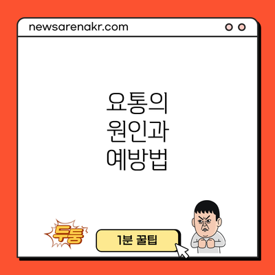 요통의 원인과 예방법