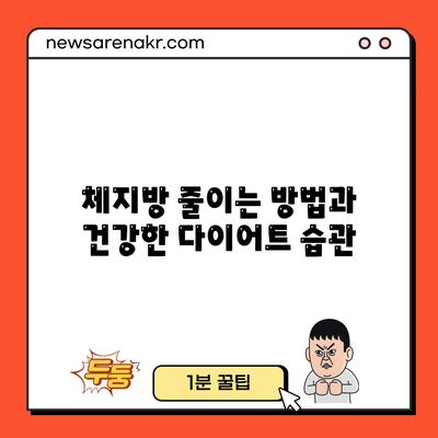 체지방 줄이는 방법과 건강한 다이어트 습관