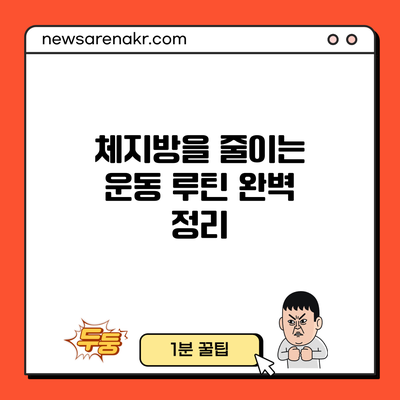 체지방을 줄이는 운동 루틴 완벽 정리