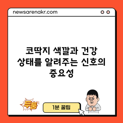 코딱지 색깔과 건강 상태를 알려주는 신호의 중요성