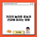 귀리의 놀라운 효능과 건강에 미치는 영향
