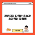 라벤더의 다양한 효능과 효과적인 활용법