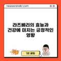 라즈베리의 효능과 건강에 미치는 긍정적인 영향