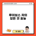 루이보스 차의 모든 것: 효능