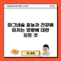 마그네슘 효능과 건강에 미치는 영향에 대한 모든 것