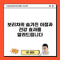 보리차의 숨겨진 이점과 건강 효과를 알려드립니다