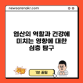 엽산의 역할과 건강에 미치는 영향에 대한 심층 탐구