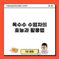 옥수수 수염차의 효능과 활용법