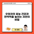 우엉차의 효능: 건강과 면역력을 높이는 자연의 비밀