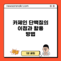 카제인 단백질의 이점과 활용 방법