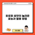 호로파 씨앗의 놀라운 효능과 활용 방법