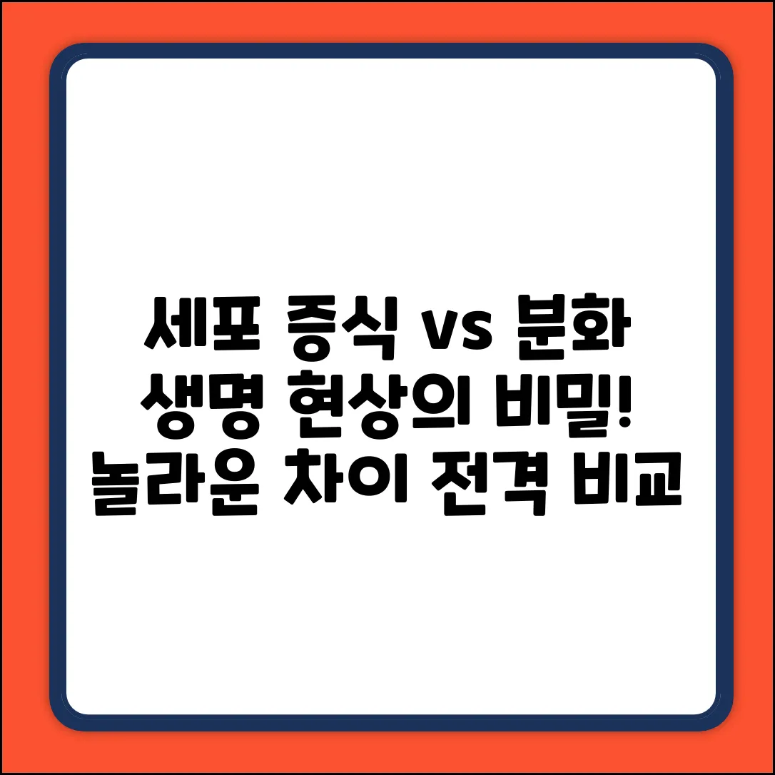 세포 증식 vs 분화: 놀라운 차이!