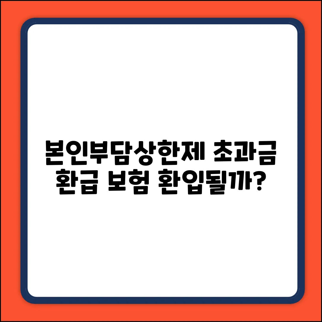 본인부담상한제 초과금, 보험 환입 가능할까?
