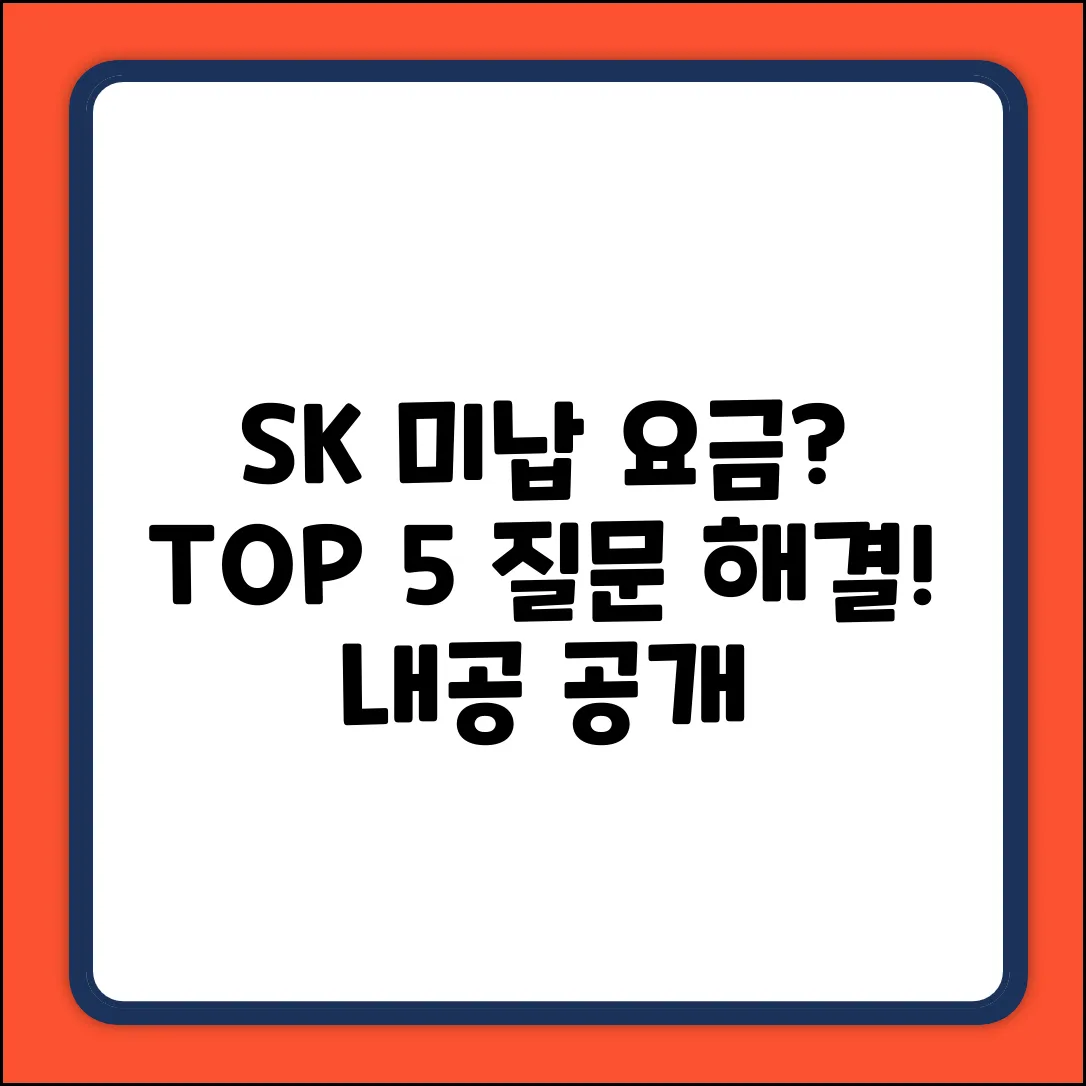 SK 미납 요금 질문 TOP 5 (내공 100%