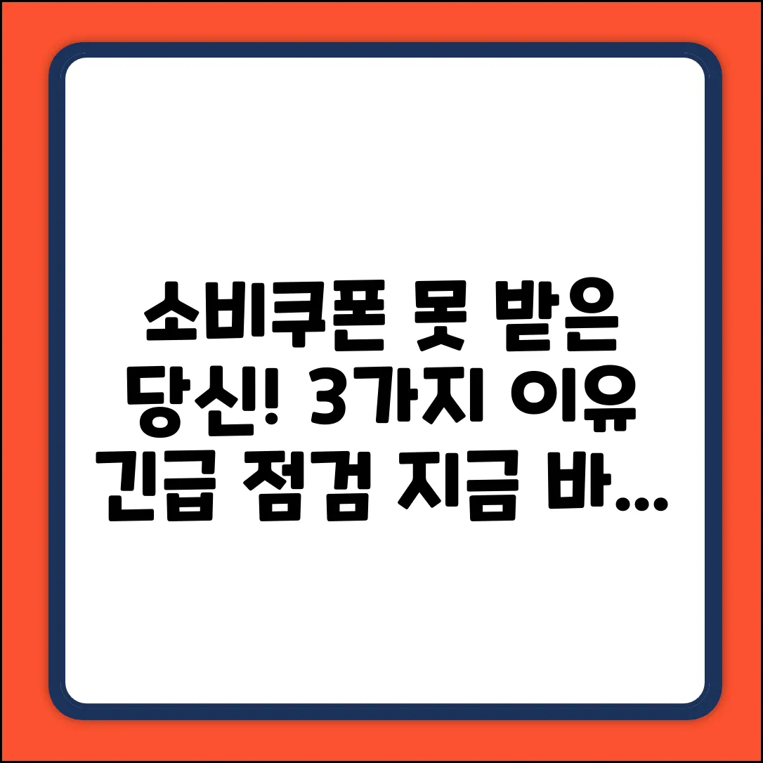 민생회복 소비쿠폰, 왜 나는 못 썼을까? 3가지 이유