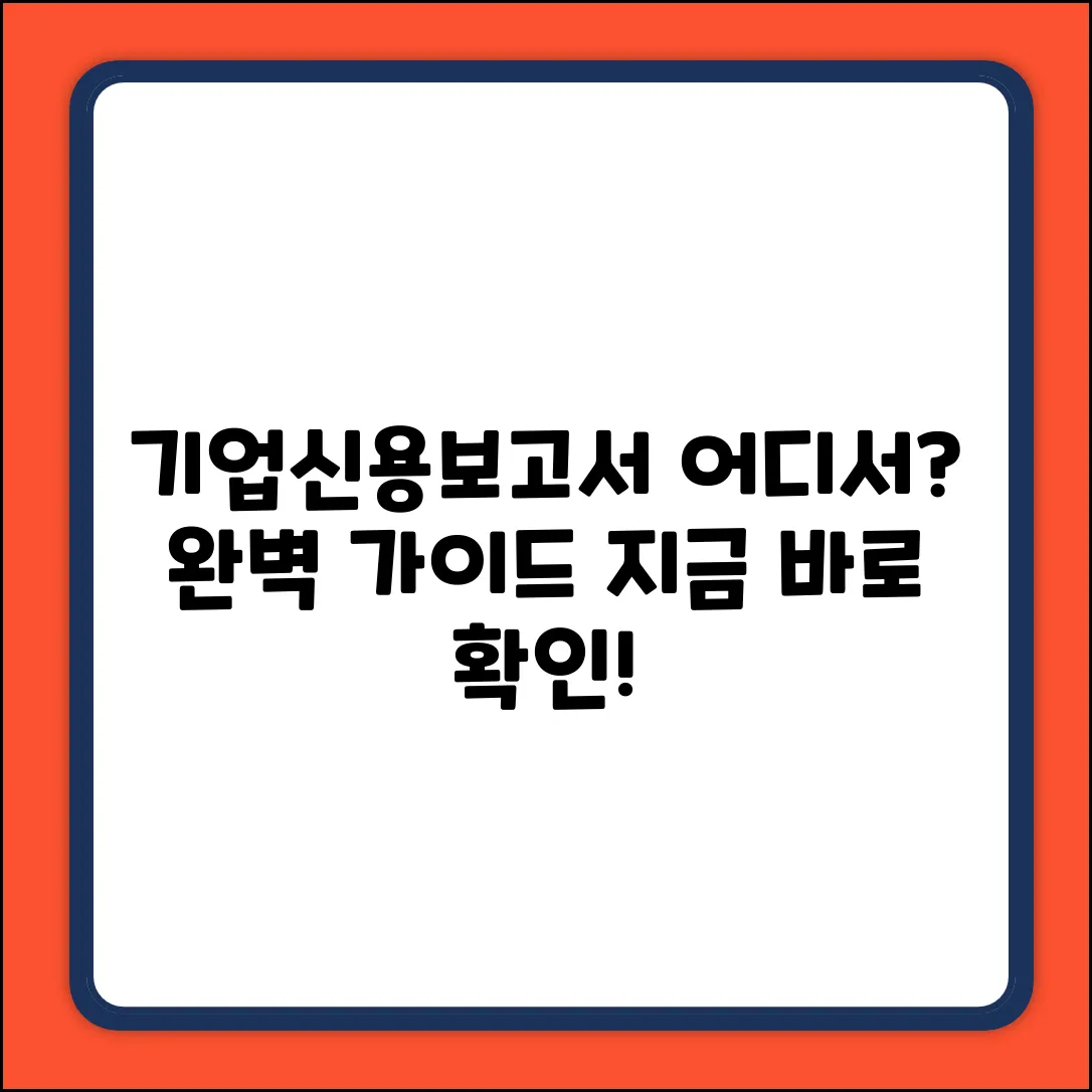기업신용보고서, 어디서 조회? 완벽 가이드!