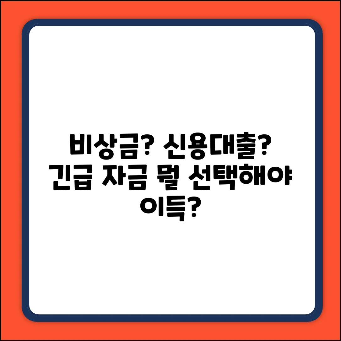 비상금 vs 신용대출 한도, 완벽 비교 가이드