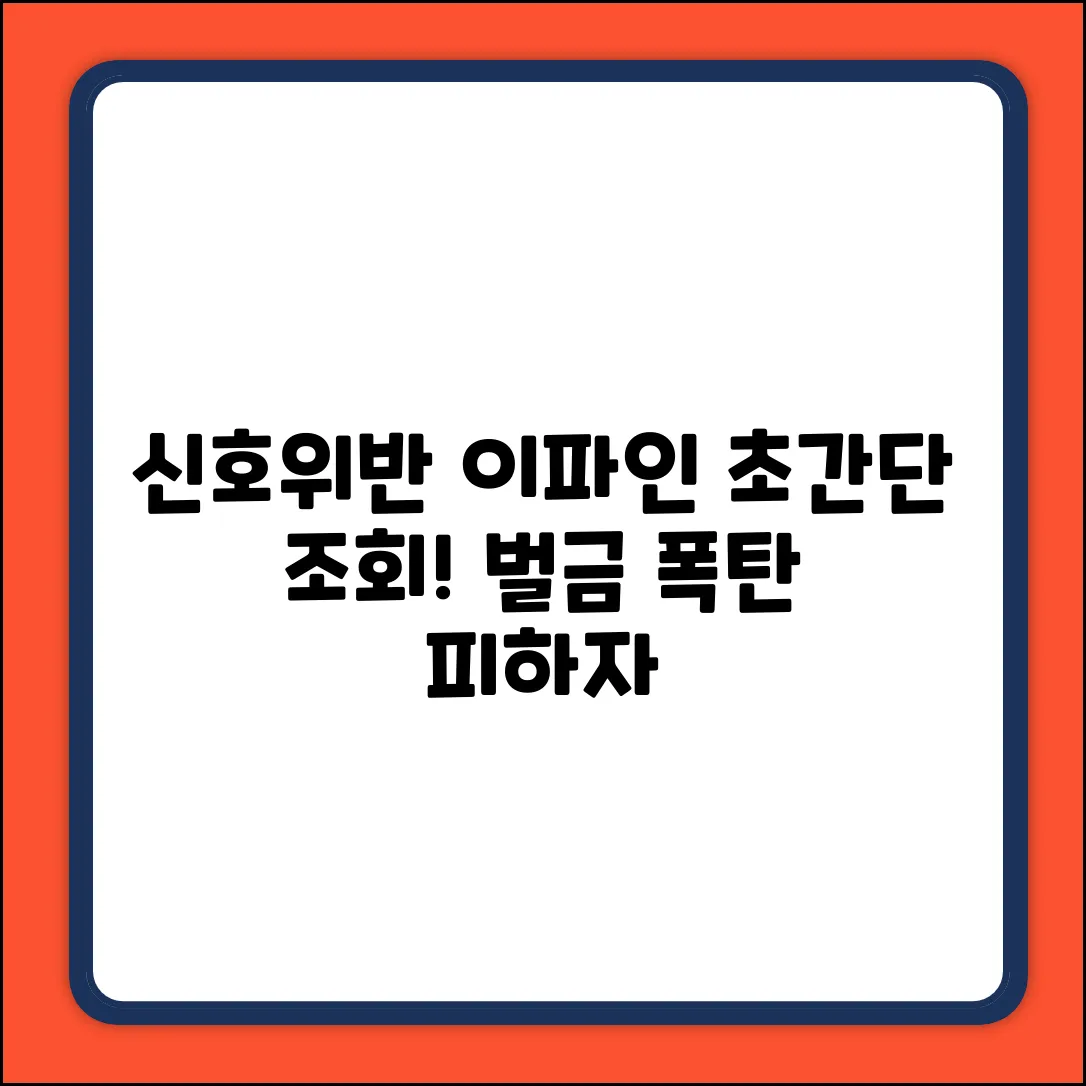 이파인 신호위반, 누구나 쉽게 확인!
