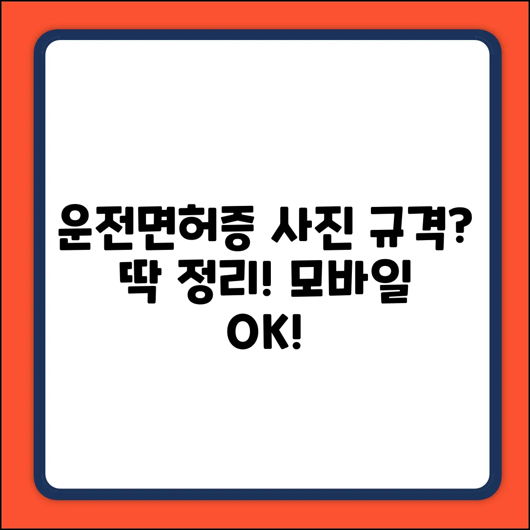 모바일 운전면허증 사진, 규격이 뭘까?
