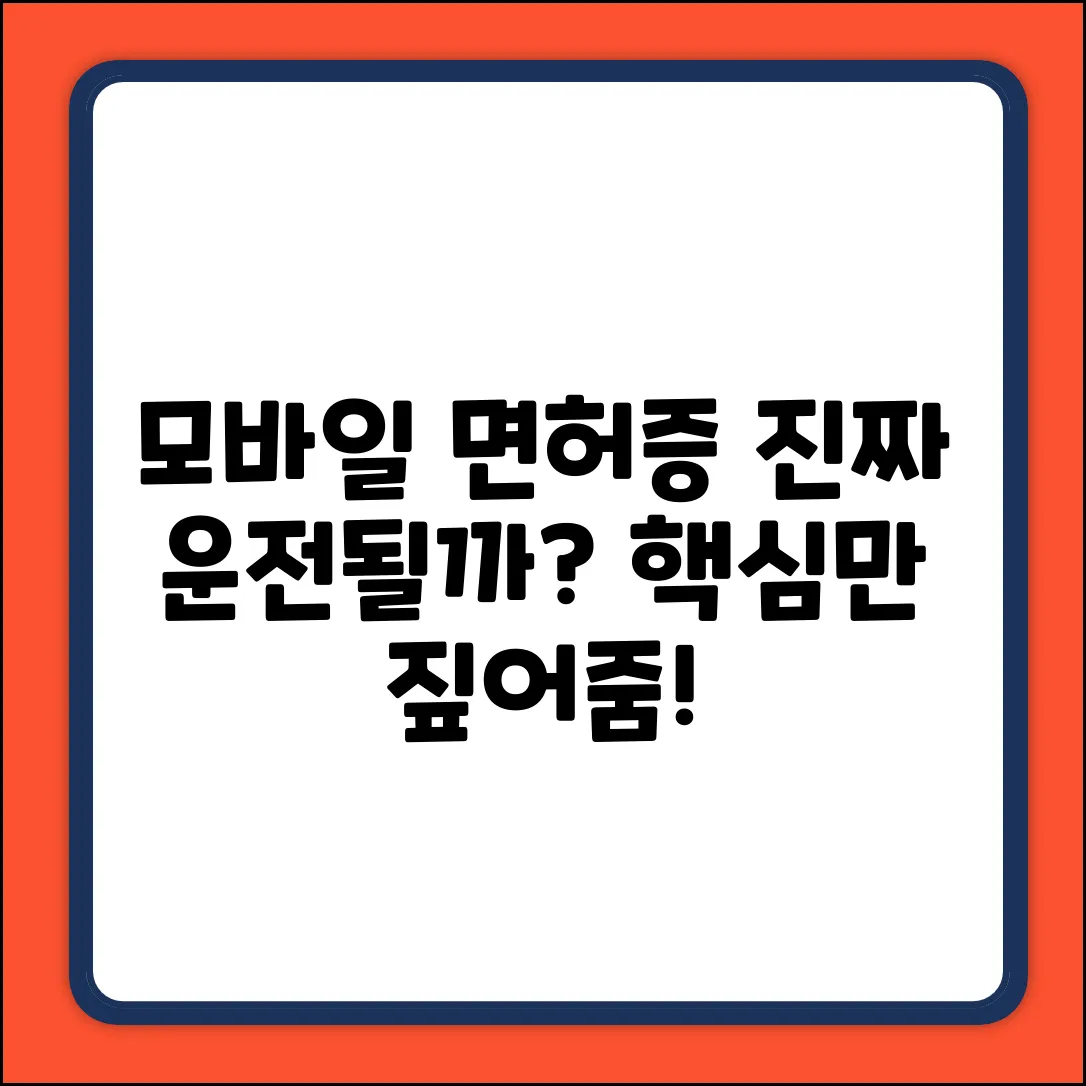 모바일 운전면허증, 운전 가능할까?