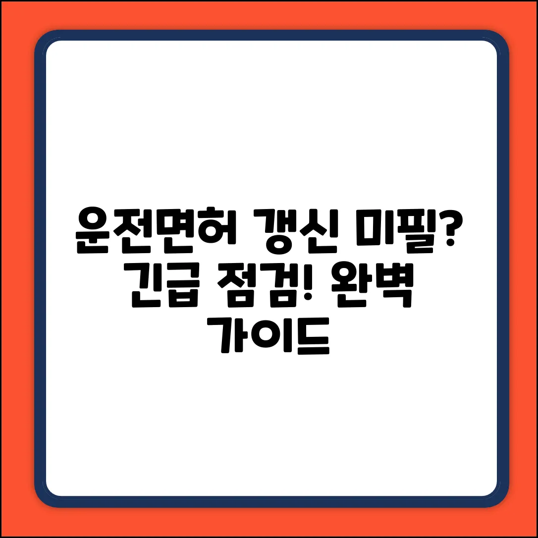 운전면허 적성검사 미필: 완벽 가이드