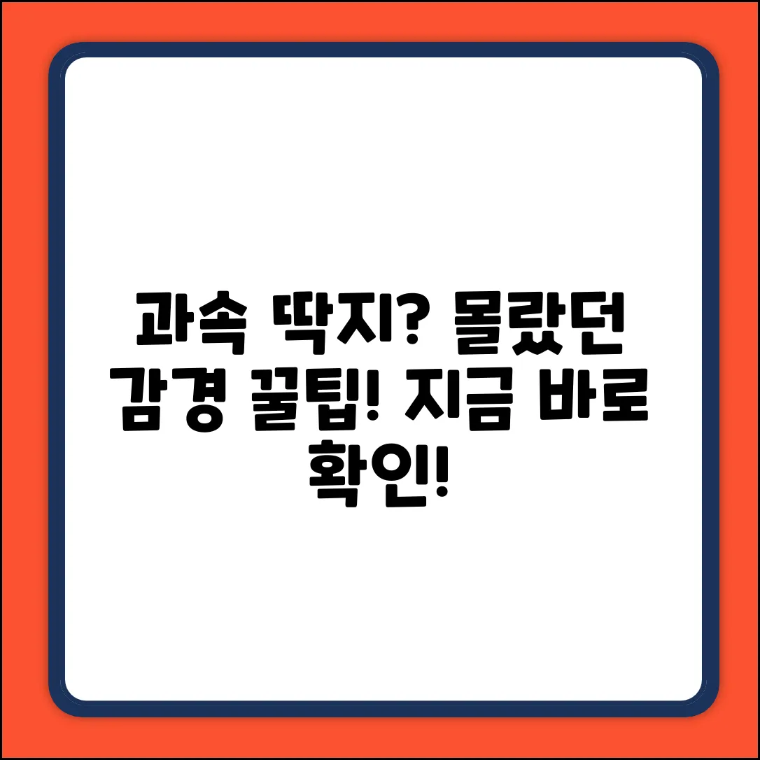 🚨 과속 과태료 감경? 몰랐던 꿀팁!