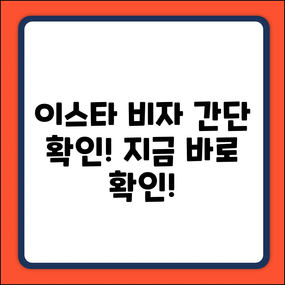 이스타 비자 상태, 초간단 확인법!