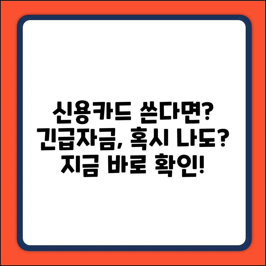 신용카드사용자대출, 혹시 나도 될까?