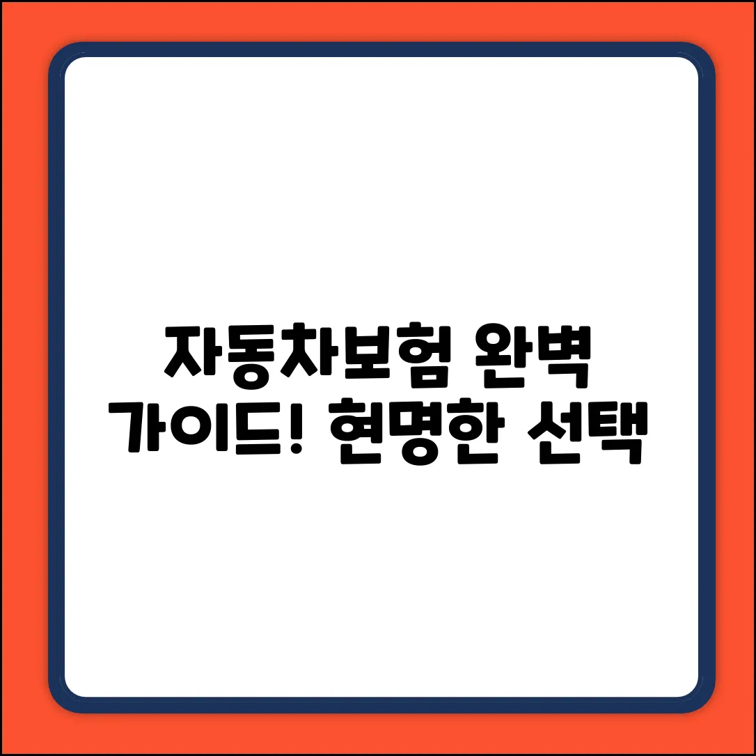 자동차보험 완벽 가이드: 현명한 선택!