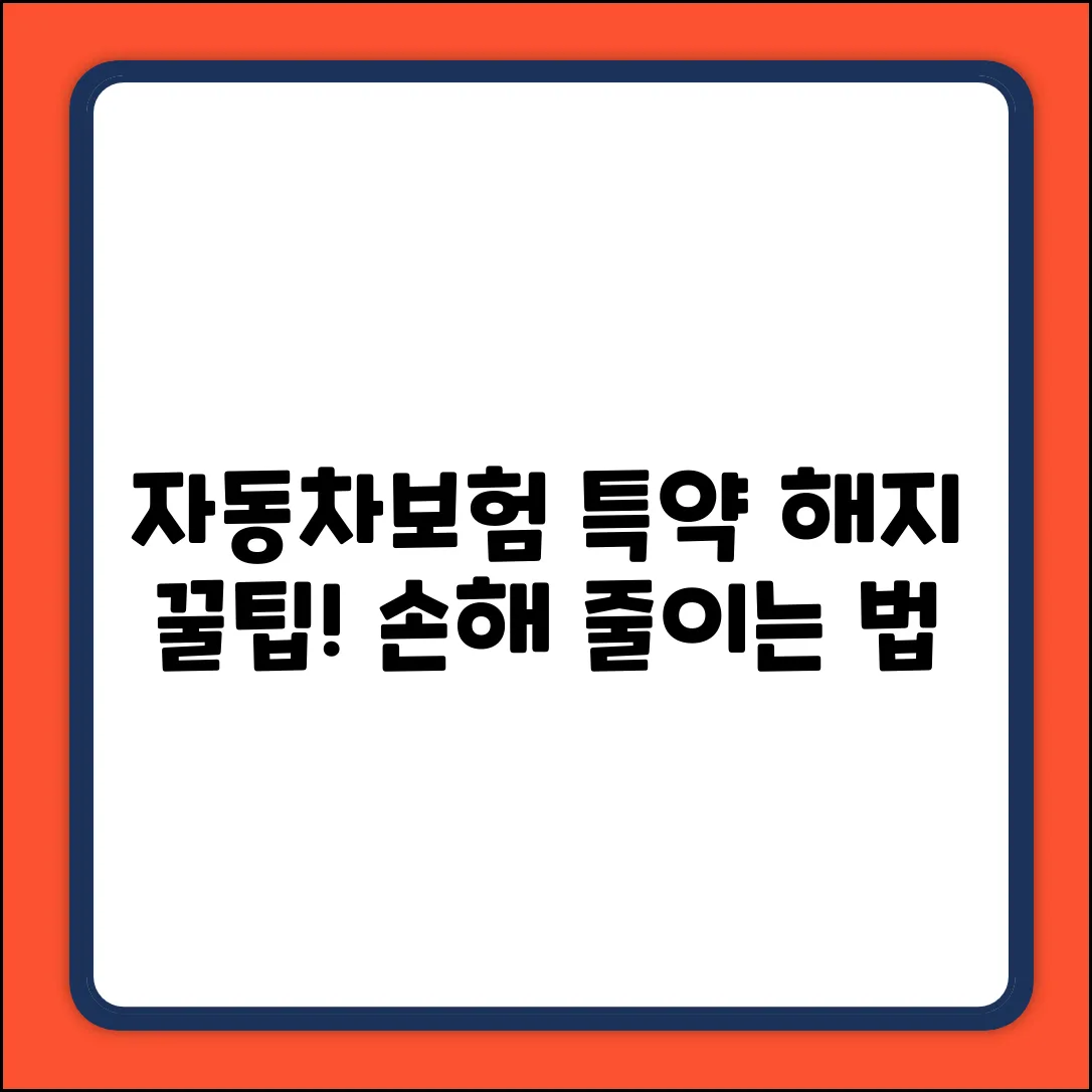 자동차보험 특약 해지, 손해 줄이는 3가지 방법